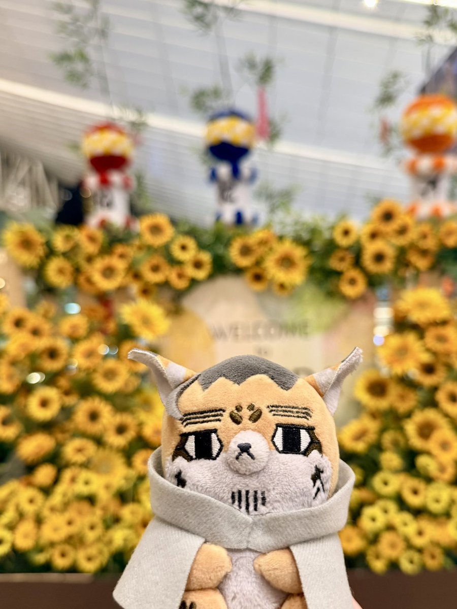 HectorPandion's tweet photo. 旅にでます

(´⊙ω⊙`)<ﾀﾞｯｼｭﾂ https://t.co/B2nb3ZlNME