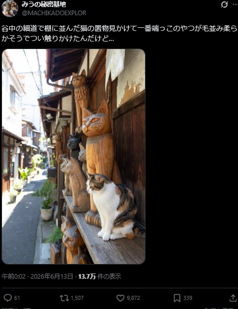 giveOB's tweet photo. 画像生成の際に同じ形を保つ事が難しいためか、家飼いではなく野良猫を標的にしている個体が多い。
複数の野良猫を扱うこと・複数飼いでも珍しくない、などの理由から怪しまれにくい。

Botが生きる為に必要なエンゲージメント稼ぎに人々が利用されている様子。 https://t.co/pQcdn3R67Q