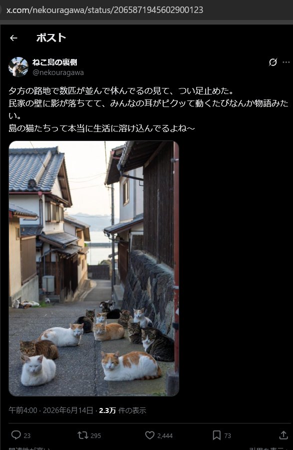 giveOB's tweet photo. 画像生成の際に同じ形を保つ事が難しいためか、家飼いではなく野良猫を標的にしている個体が多い。
複数の野良猫を扱うこと・複数飼いでも珍しくない、などの理由から怪しまれにくい。

Botが生きる為に必要なエンゲージメント稼ぎに人々が利用されている様子。 https://t.co/pQcdn3R67Q