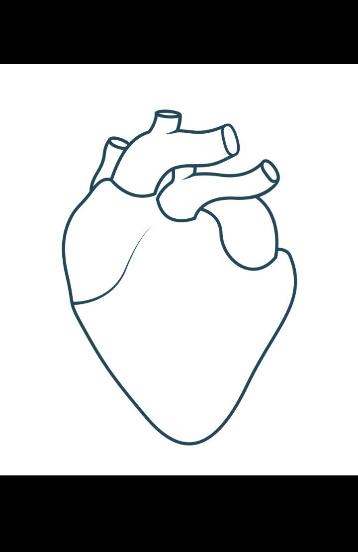 ojimaojoRN's tweet photo. Your heart beats about 100,000 times every day without taking a break. ❤️

Return the favor:
• Move your body daily.
• Eat less salt.
• Don't smoke.
• Check your blood pressure regularly.

Small habits protect your heart.

#HeartHealth #PreventionFirst https://t.co/kUAhUgJ7fV