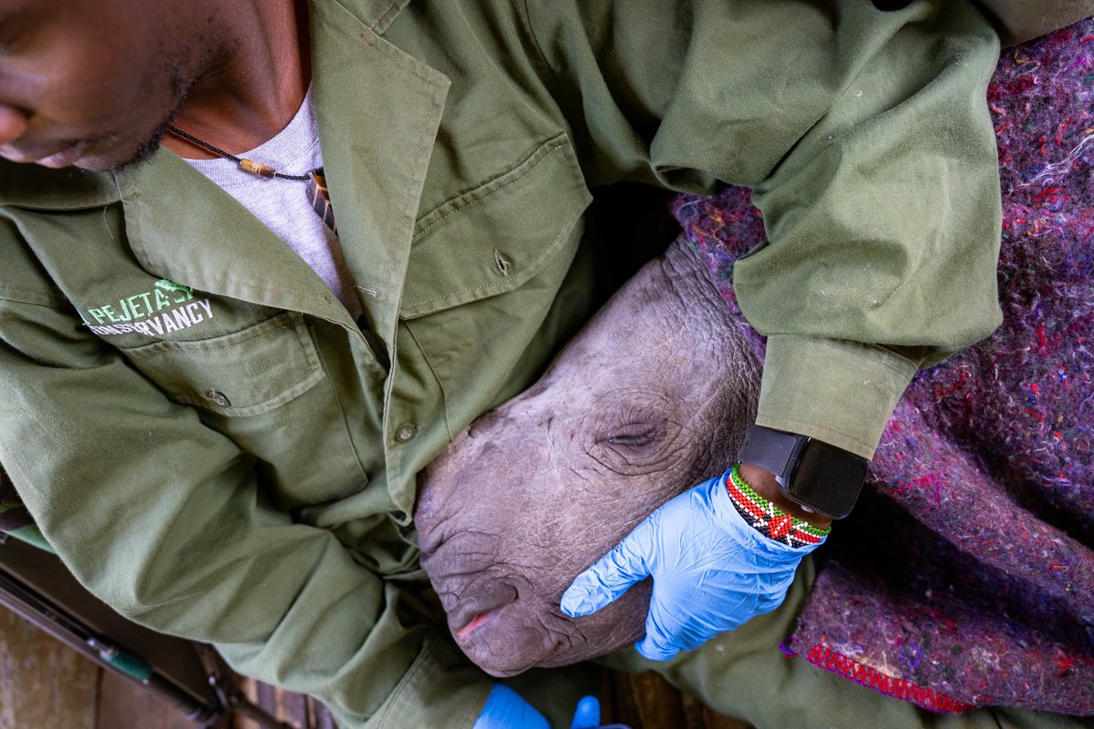 Ol Pejeta tweet media