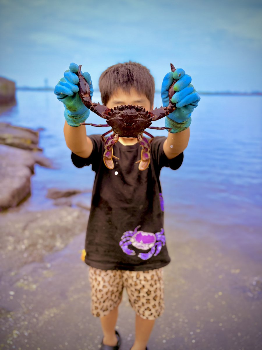 mjp1006's tweet photo. 我が子、カニが好きすぎて、カニのTシャツ着てカニ獲ってるの草 https://t.co/WcHDY7f7y6
