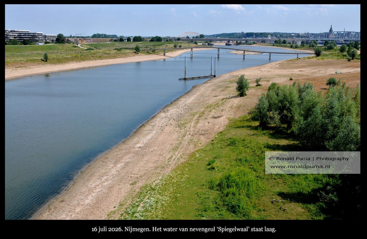 RonaldPumaPhoto's tweet photo. 16 Juli 2026. Het water van de #Waal bij #Nijmegen #Netherlands staat laag. #neerslagtekort #regen #watertekort #droogte #Waalstrand #Lobith #Tolkamer #Rijn #IJssel #Maas #RIVM #KNMI. (Bron: https://t.co/Ha9YBeByfu). https://t.co/ne8EoU44xy