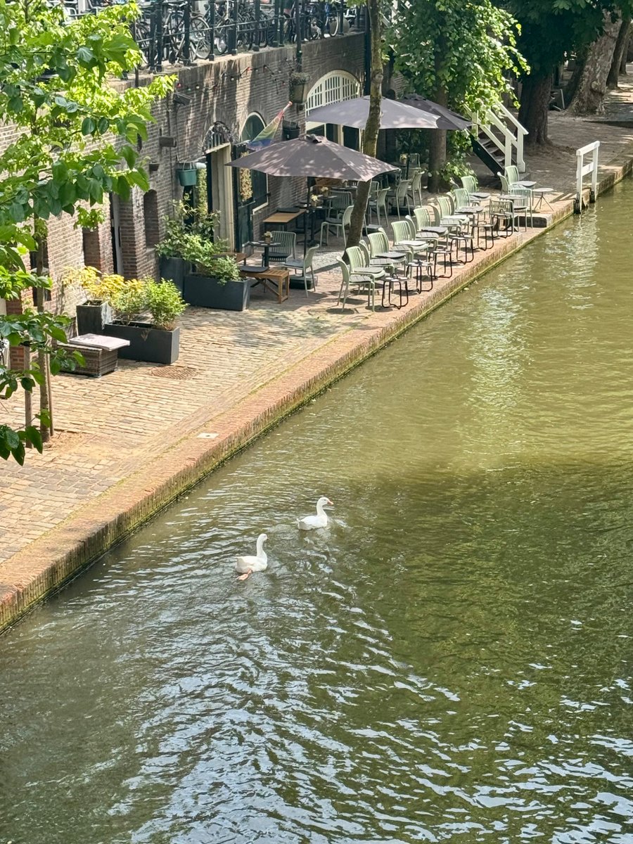 yyeoubii's tweet photo. A summer in Utrecht, Netherlands 🇳🇱 https://t.co/TG7bkVQbNh