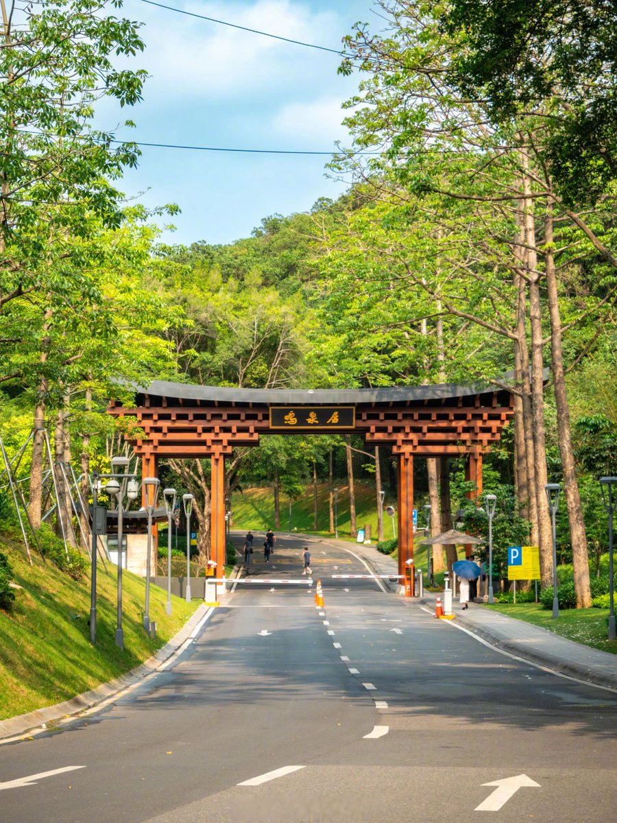 11kokojam17's tweet photo. Just wrapped a 2-hour morning jog around the city lake—fresh air and quiet vibes hit different on a Tuesday. https://t.co/EIX1msu5vb