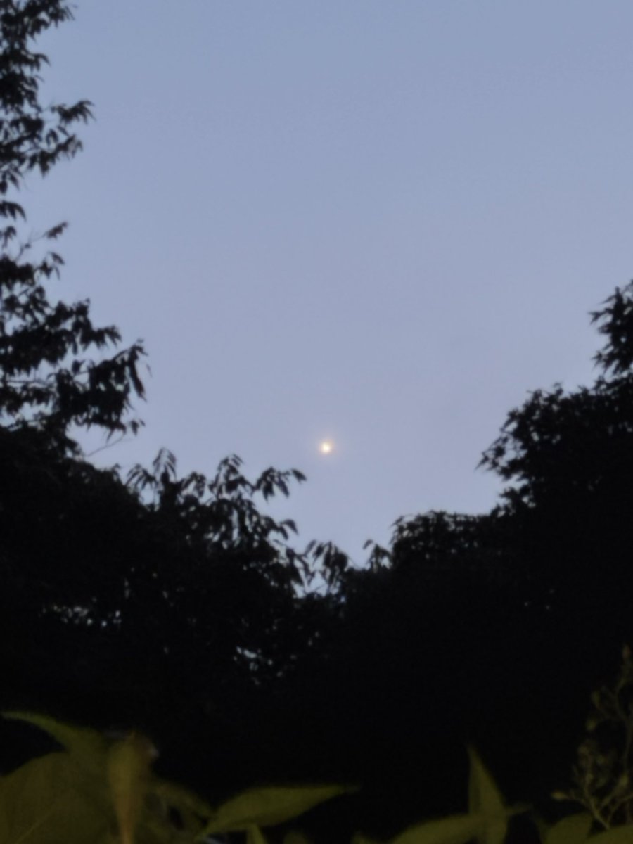 kode25264477's tweet photo. 日が落ちたら薄く雲が垂れこめはじめ、一番星も雲の向こうに消えて行きました。 https://t.co/06msNV3I3B
