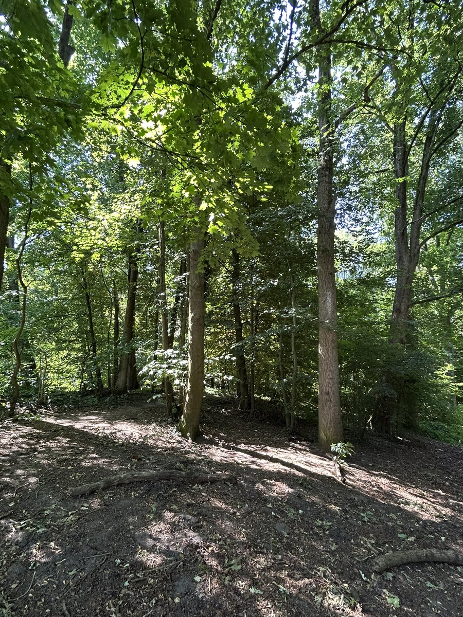 Chris_Brussels's tweet photo. I love my little big park for lunchtime walks, getting some fresh air, admiring the the trees … I am really grateful for this privilege.
#trees #treelover #nature #air #park #Bruxelles 🌳🌳🌳 https://t.co/KMxSqxsOm0