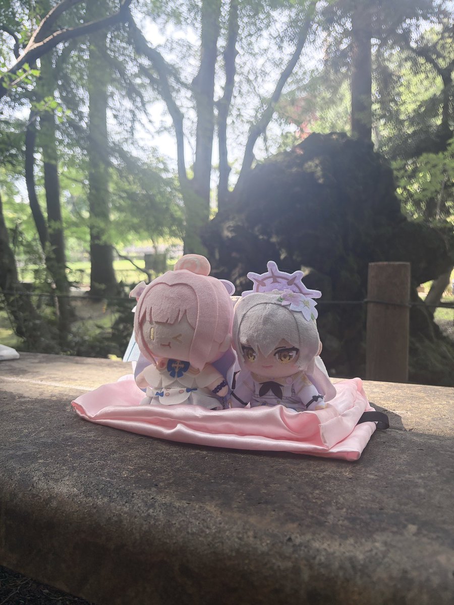 chia_hono's tweet photo. 森林浴をする2人…
心が洗濯される気分… https://t.co/gUvs8smx4N