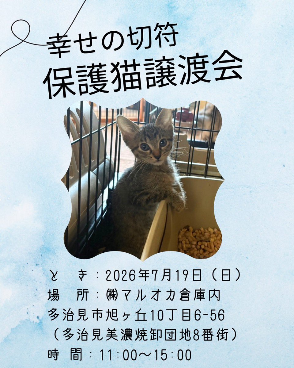 papirurukuroki's tweet photo. 2026年7月19日幸せの切符譲渡会のお知らせです。
#ねこすたぐらむ #ねこ #ねこのいる生活 #ねこすきさんと繋がりたい ねこと暮らす 保護猫 保護猫と暮らす 保護猫を家族に 保護活動　譲渡会のお知らせ  譲渡会 譲渡　多頭がい  猫 cat catstagram catlifestyle8 https://t.co/GMr2BP9MOC