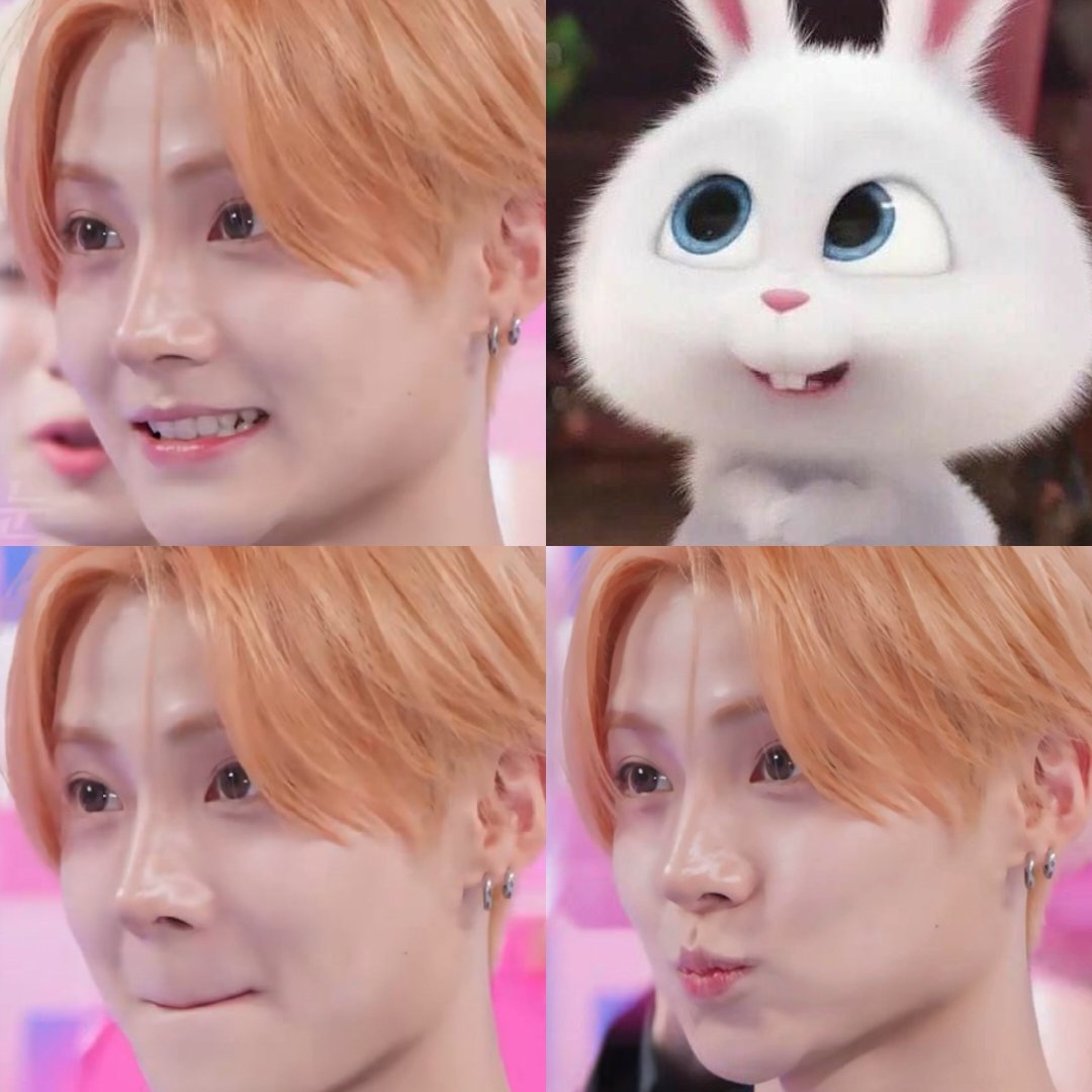 19wons's tweet photo. find real snowball here 🐰🫳🏻 https://t.co/M2sOT2DtsP