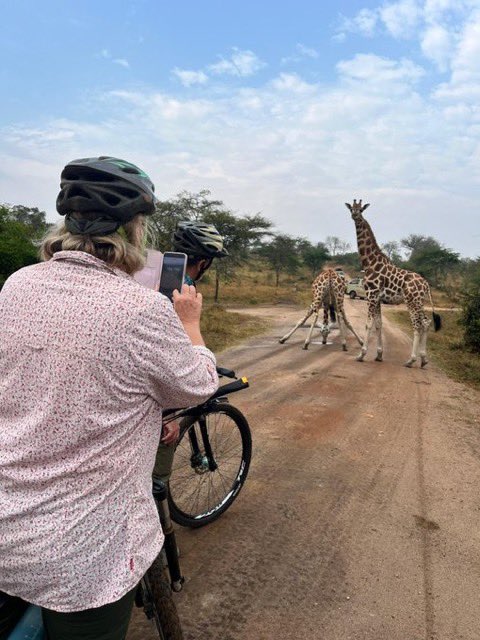 PatienceNamudd1's tweet photo. Experience the Wild Side of Uganda on Two Wheels! 🚴🏾‍♂️🇺🇬

Discover the beauty of Lake Mburo National Park through an unforgettable cycling adventure along the scenic Zebra Track and Acacia Track.

Ride through breathtaking landscapes, encounter amazing wildlife, and enjoy the unique thrill of exploring Uganda’s wilderness at your own pace. Every turn offers a new view, a fresh experience, and memories that last a lifetime.

Plan your next adventure and explore the hidden treasures of Uganda’s natural beauty.
#ExploreUganda #WildlifeAdventure #VisitUganda