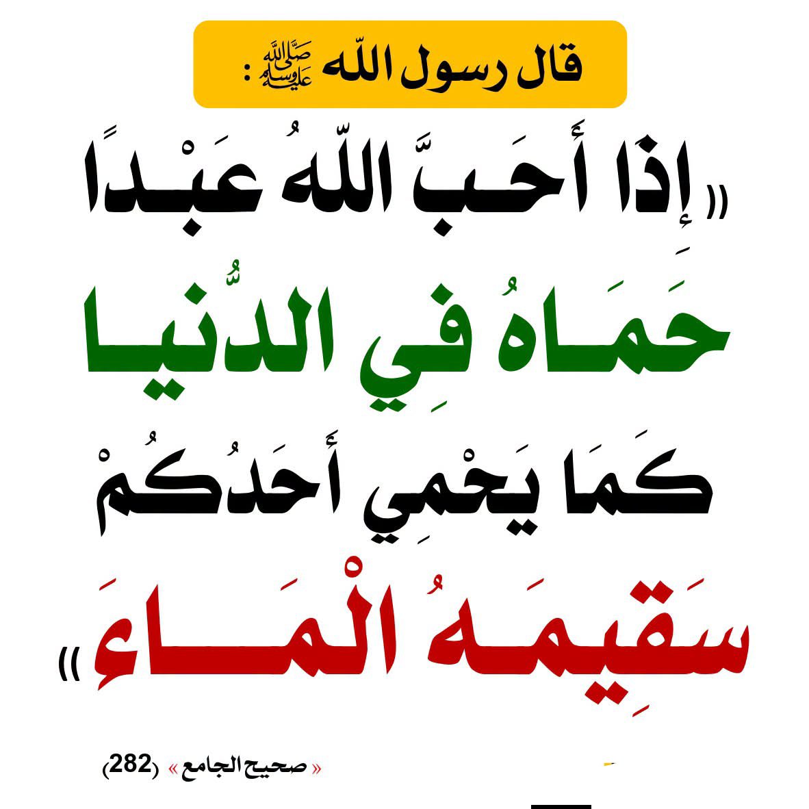 alaqidat_sahiha's tweet photo. اللّهم ارزقنا حبك ؛ وحب من يحبك .. وحب كل عمل صالح يقربنا إلى حبك ..🤲 https://t.co/6ujD5R4kkS