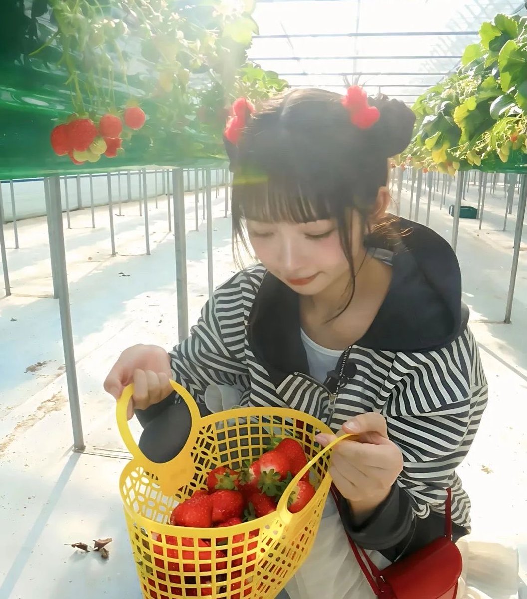 jeanlunettes's tweet photo. hihihi ke kebun stobeyi 💞🍓 https://t.co/P1HckFF1Ad