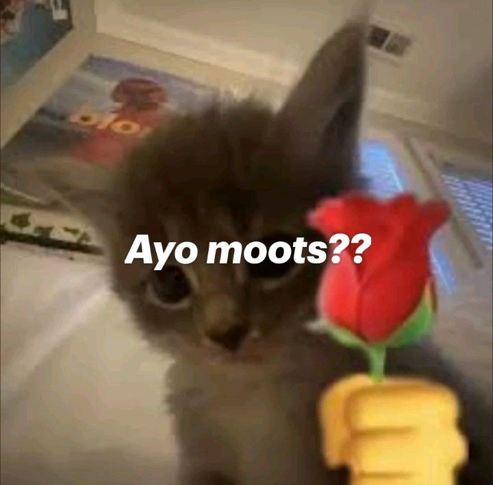 24hrsofreg's tweet photo. hi mentemen maba uenje, adakah yg mawu moots ig? 🤩 buat meramaikan twibon dan tugas video pkkmb nantiii YUKK YUKKKK 📢😵‍💫❗#collegetwt #unj https://t.co/OeYEoqQ8Eg