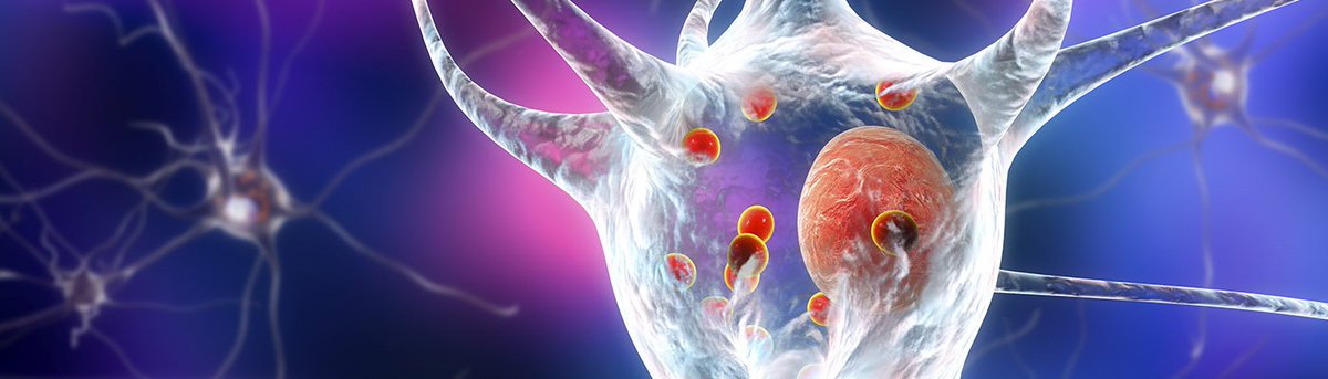 adv_immunology's tweet photo. Neuro-immunology......https://t.co/lG8O9pzrut
To know more about immunology, Kindly visit our website....https://t.co/sIIThgwwKW
#cells #autoimmunity #neuroimmunology https://t.co/9RISFcWf7d