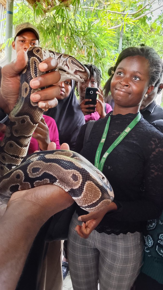 Abdulazeez40102's tweet photo. It's World Snake Day.🐍⚡ https://t.co/uReIUmHTlK