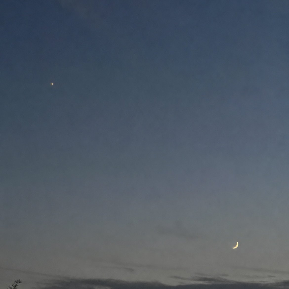 rocoroko's tweet photo. 金星と三日月𖤐·̩͙˖⋆࿐໋₊ *･🌙

#イマソラ https://t.co/cZnKSPFdI2