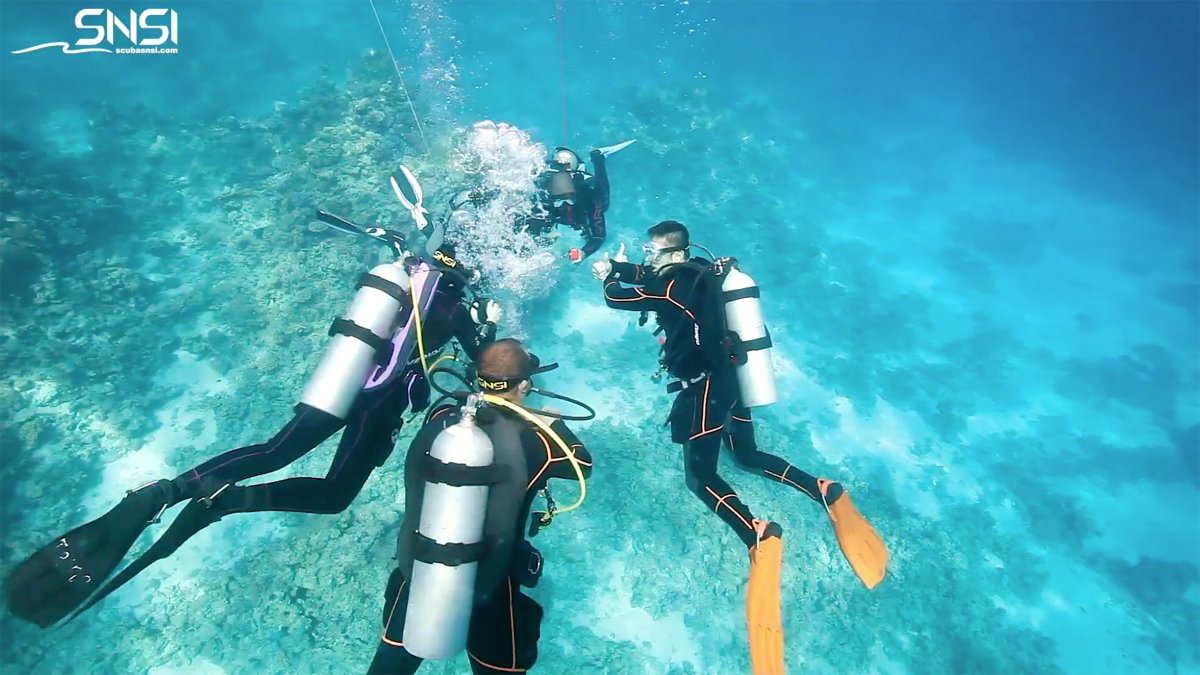 Scubasnsi's tweet photo. Every Ascent Matters

The dive is not over until the ascent is complete.
 
Train well.
Stay aware.
Ascend safely.
 
#DiveSafety #SNSI https://t.co/kFXAqu1srS