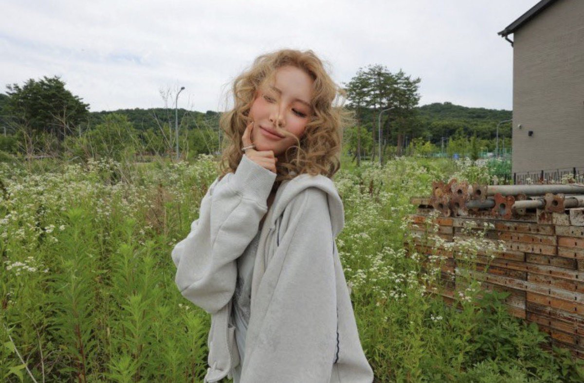 ARAB SUNMI tweet media