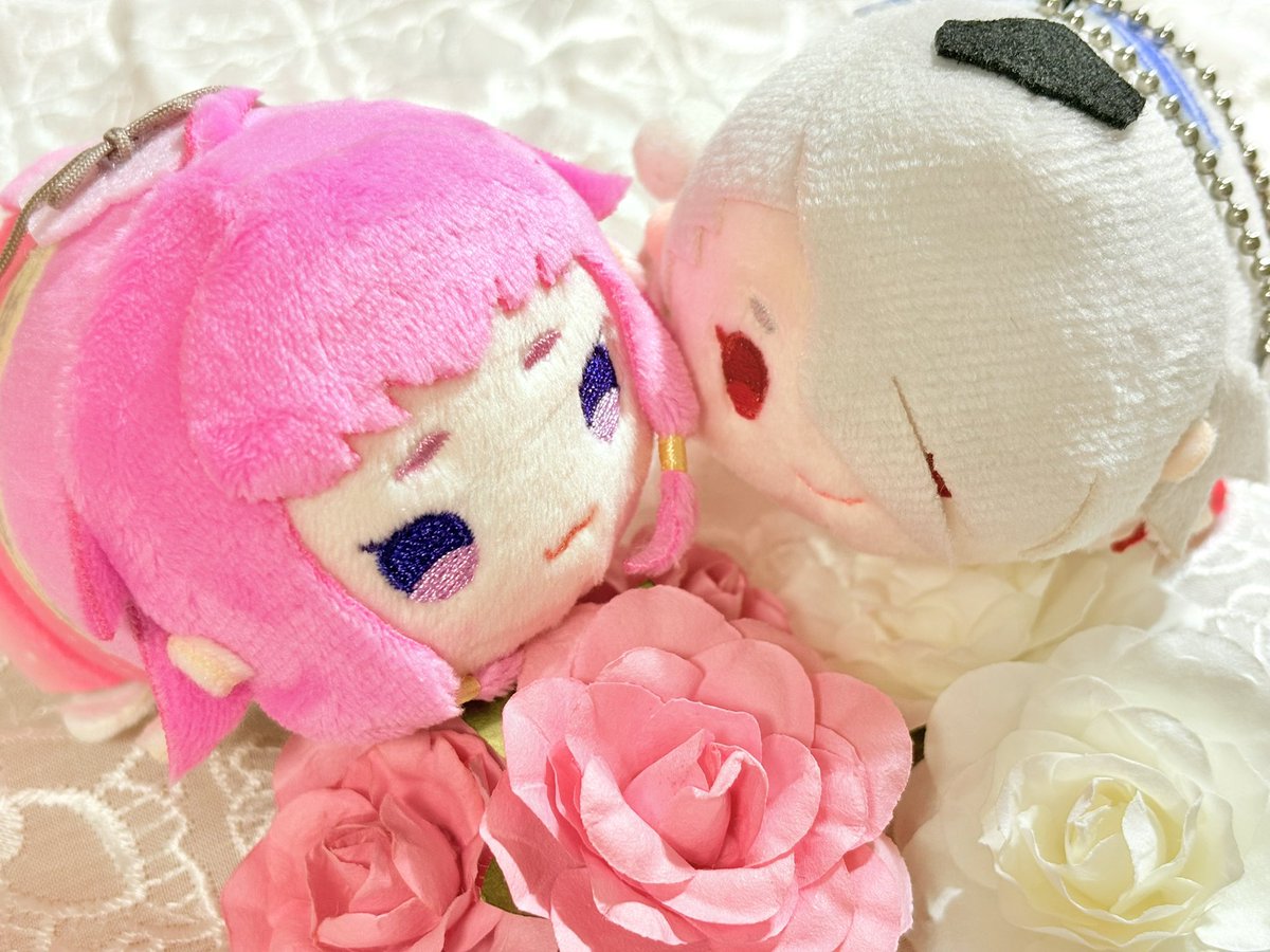 JftNvc's tweet photo. ついに我が家にももちちゃんが😍
友人から北谷菜切、今剣をお譲りしていただきました✨
ありがとうー！！ https://t.co/I7StBeRJR6