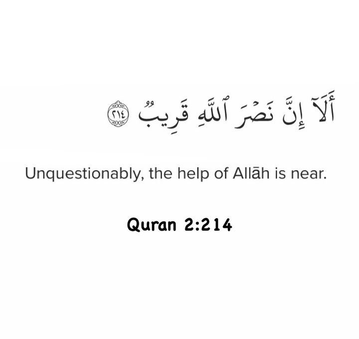 Al__Quraan's tweet photo. Unquestionably https://t.co/pKl9nacc0o