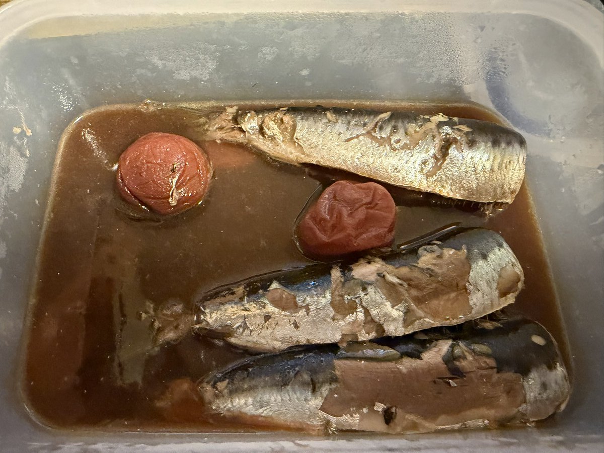 mbv04j's tweet photo. 晩酌タイム
昨日仕込んだイワシの梅煮で一杯
…
味が薄い…
これはちと酒のアテには少し物足りないな…
ご飯のおかずで食うなら少し塩を足してやるとちょうどいいかも知れない
明日の朝だな…これは https://t.co/lnSuA3HQ6i