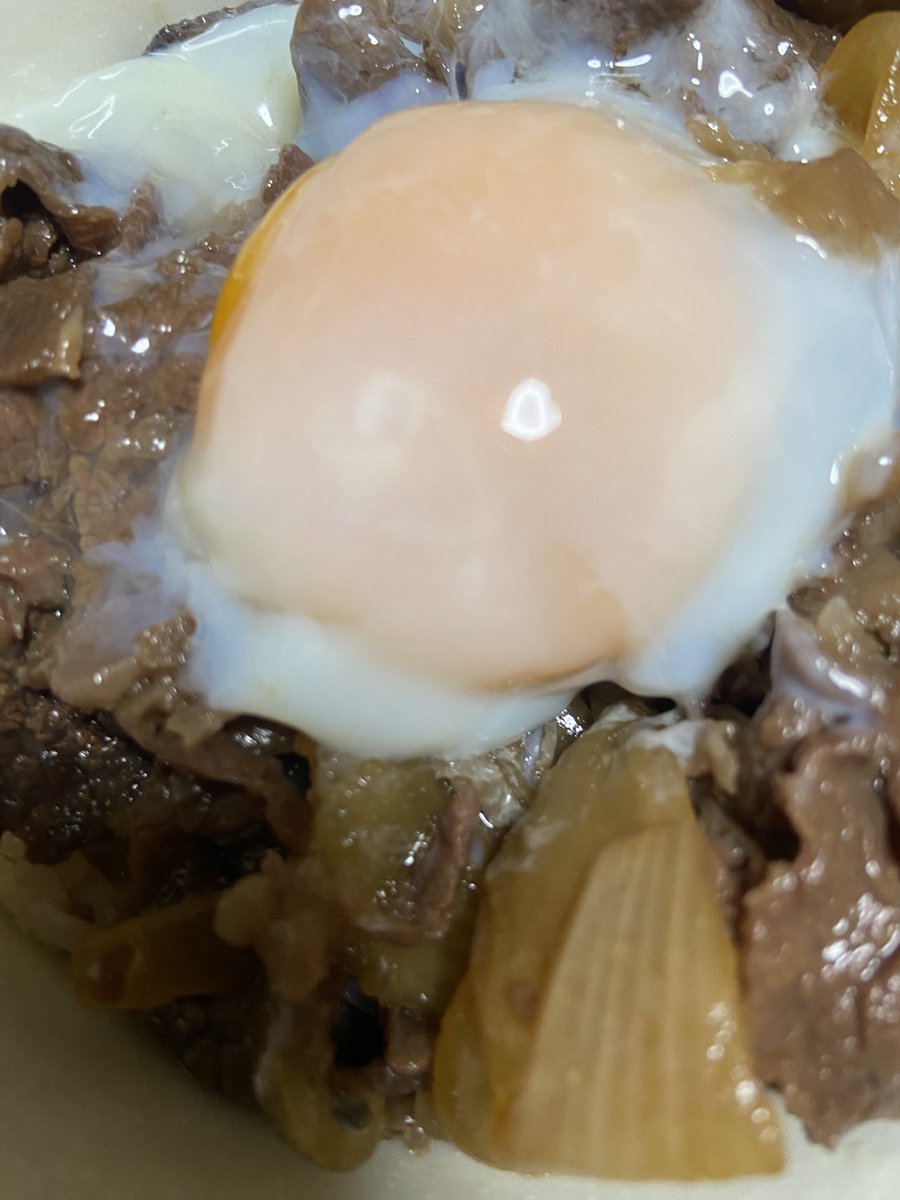 4quari_'s tweet photo. きょうは、がんばってつくったぎゅうどんに、はんじゅくたまごをのせてみたよ https://t.co/Ou0a6Vt0nC