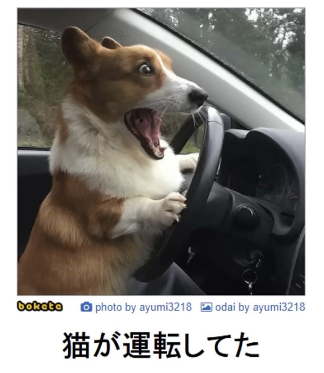 Fate8901Rasen's tweet photo. ボケてサ終するってマジか
このシリーズ大好きだったわ https://t.co/PAeT3oJL3D