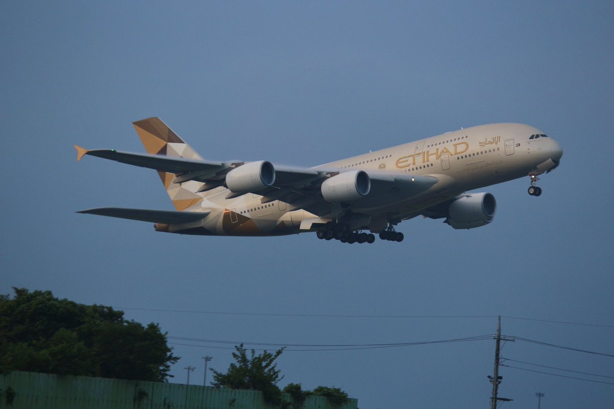 Sutorobo0704's tweet photo. TN A340みたいな低い上がりでした
A6-API https://t.co/RbGF9l2Yoo