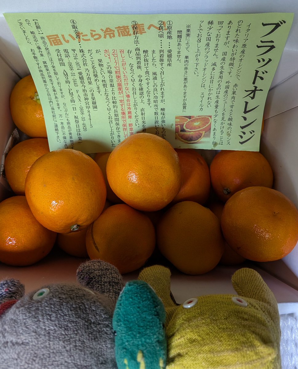 済▫︎オレオ様おまとめ分▫︎ nomakajuen 注文したブラッドオレンジとニューサマーオレンジが届き