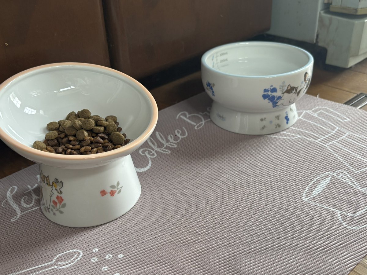 tibiko727's tweet photo. 新しい食器を買ってみました🍽️
斜めの皿にしたから前の皿より食べやすいかな?
 #猫好きさんと繋がりたい  #猫の居るくらし https://t.co/d2l20zQteI
