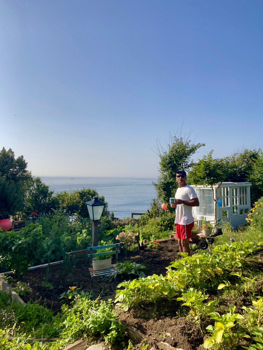 bakrim2000's tweet photo. allotment life βοΈπ₯¬β¨πΈ
#mousehole #Cornwall https://t.co/gCQYO9wSRT