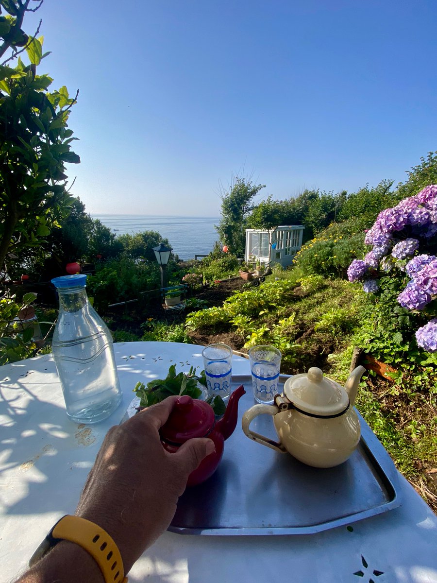 bakrim2000's tweet photo. allotment life βοΈπ₯¬β¨πΈ
#mousehole #Cornwall https://t.co/gCQYO9wSRT