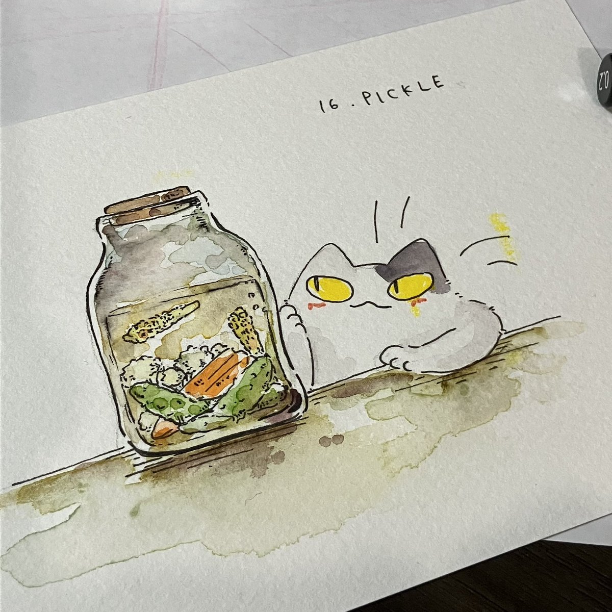 くまきち (@Kuma_00_Sh) / Posts / X
