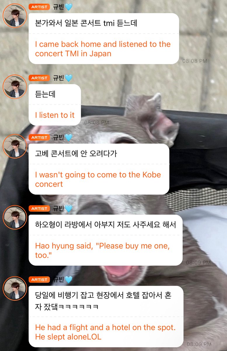 sunlightshb's tweet photo. gyuvin’s papa is so cute 🥺🥺🥺

gyuvin went back to his family’s house and heard from his dad some tmi that his dad originally wasn’t going to go to the kobe concert but his dad heard hao saying ‘please buy mango for me too’ on live 

so his dad got a plane and took a taxi from the airport and his dad was saying ‘our hao wants to eat it!!’ and ‘i have to buy mango for hao’ 🥺🥺🥺🥺🥺🥺🥺🥺🥺🥺🥺 that’s so cute