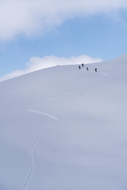 AlbrittonB73833's tweet photo. في كل الرومانسية يزرع لحظة، الهدوء وعد في أبدي. kathy malley❄️ https://t.co/h2GsPFVkbC