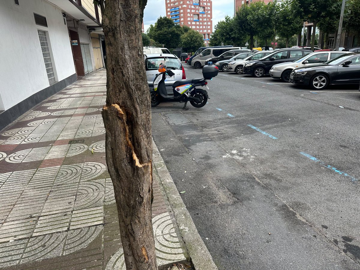 BarakaldoPcivil's tweet photo. Por aviso de Policia Local acudimos a calle gernikako arbola por arbol partido a punto de caer.
Regulamos el tráfico, troceamos y dejamos precintada zona para la recogida por brigadas.
Limpiamos la zona y se procede a abrir la carretera

#emergencia https://t.co/guHzX8GtCr