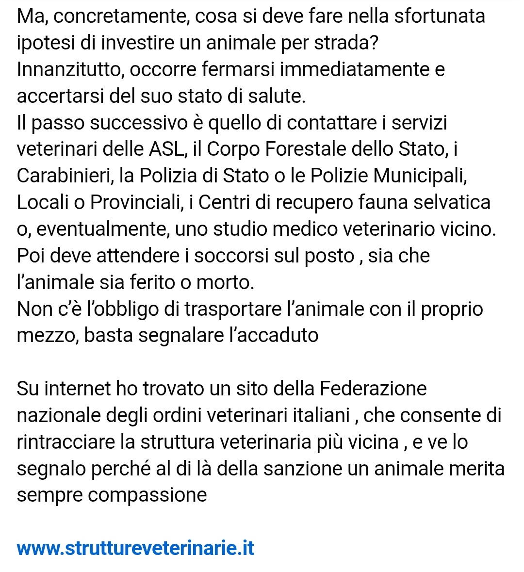 🐾CLAUDIA🐾 tweet media
