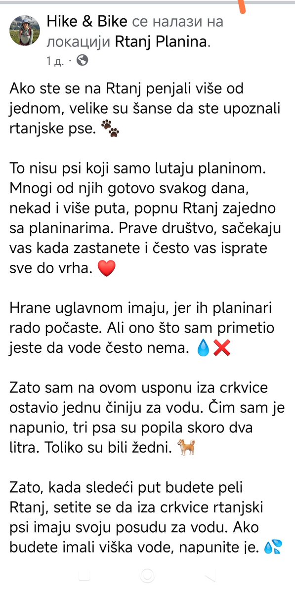 azra2209's tweet photo. Ako idete na Rtanj, ponesite hrane i vode za pse koji tamo žive. 🙏🙏🙏🙏🙏🙏

#svi 
#rtanj 
#planina https://t.co/ADgBAqY6pY
