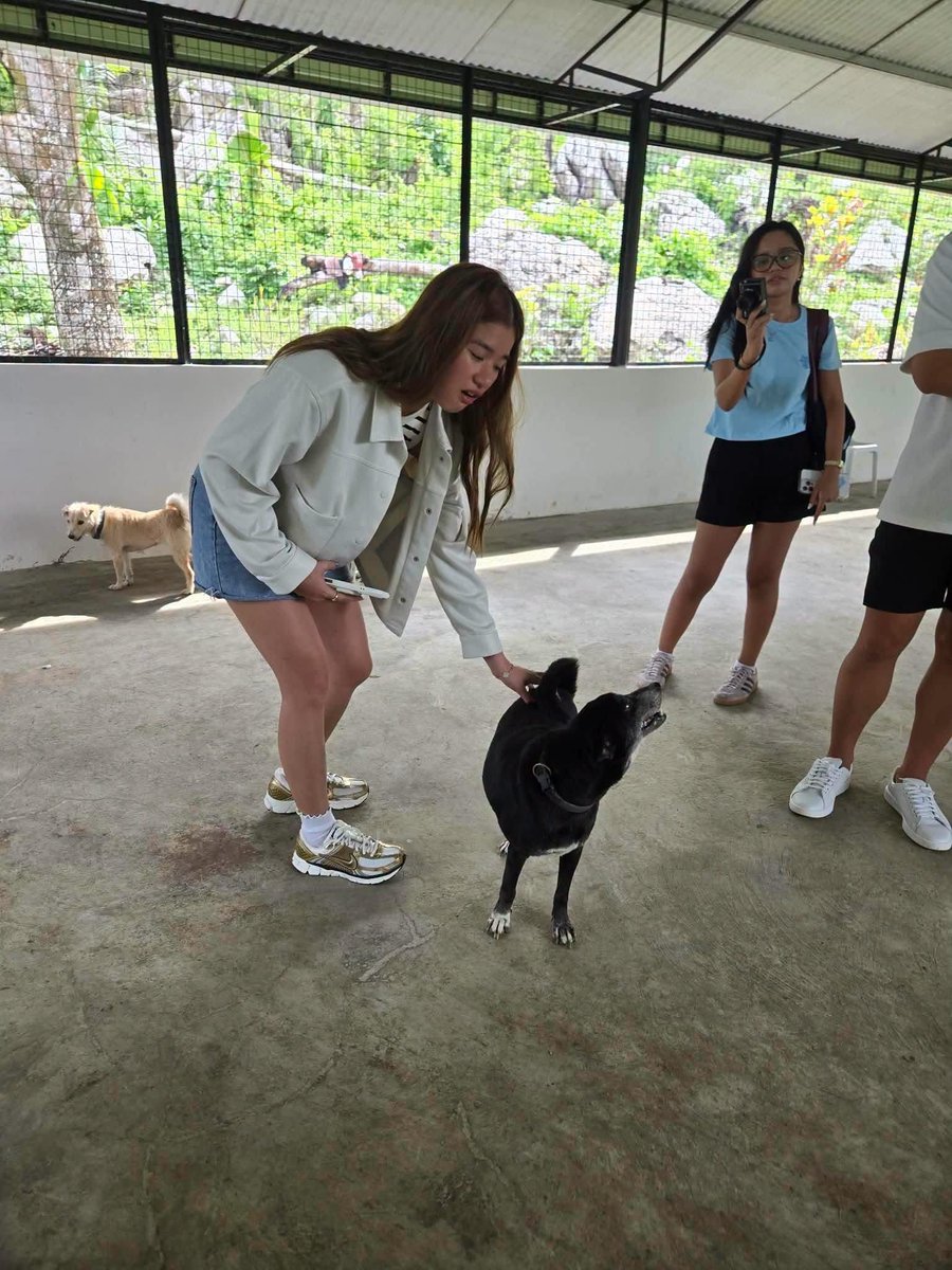 miluhvie's tweet photo. aiah at island rescue organization 
mikha lim at pawssion project 

(hindi po yan sabay.. but.. basta lang)

🐶🦊🫶 https://t.co/Hrn1fuXhMV