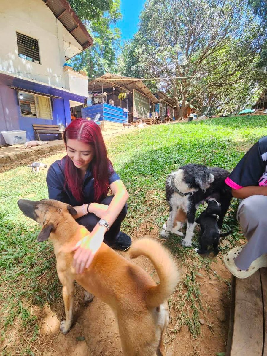 miluhvie's tweet photo. aiah at island rescue organization 
mikha lim at pawssion project 

(hindi po yan sabay.. but.. basta lang)

🐶🦊🫶 https://t.co/Hrn1fuXhMV