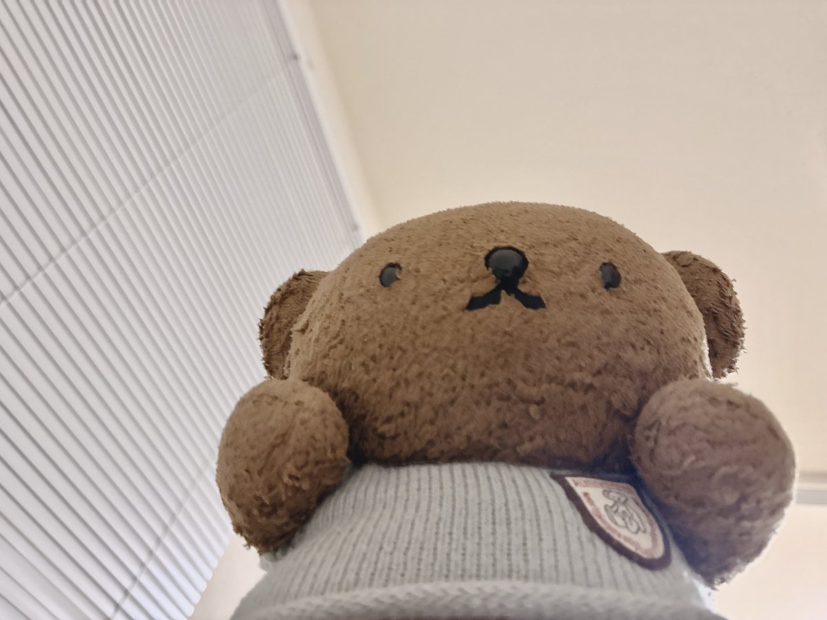 もちもちぼりちゃん (@borichan__) / Posts and Replies / X