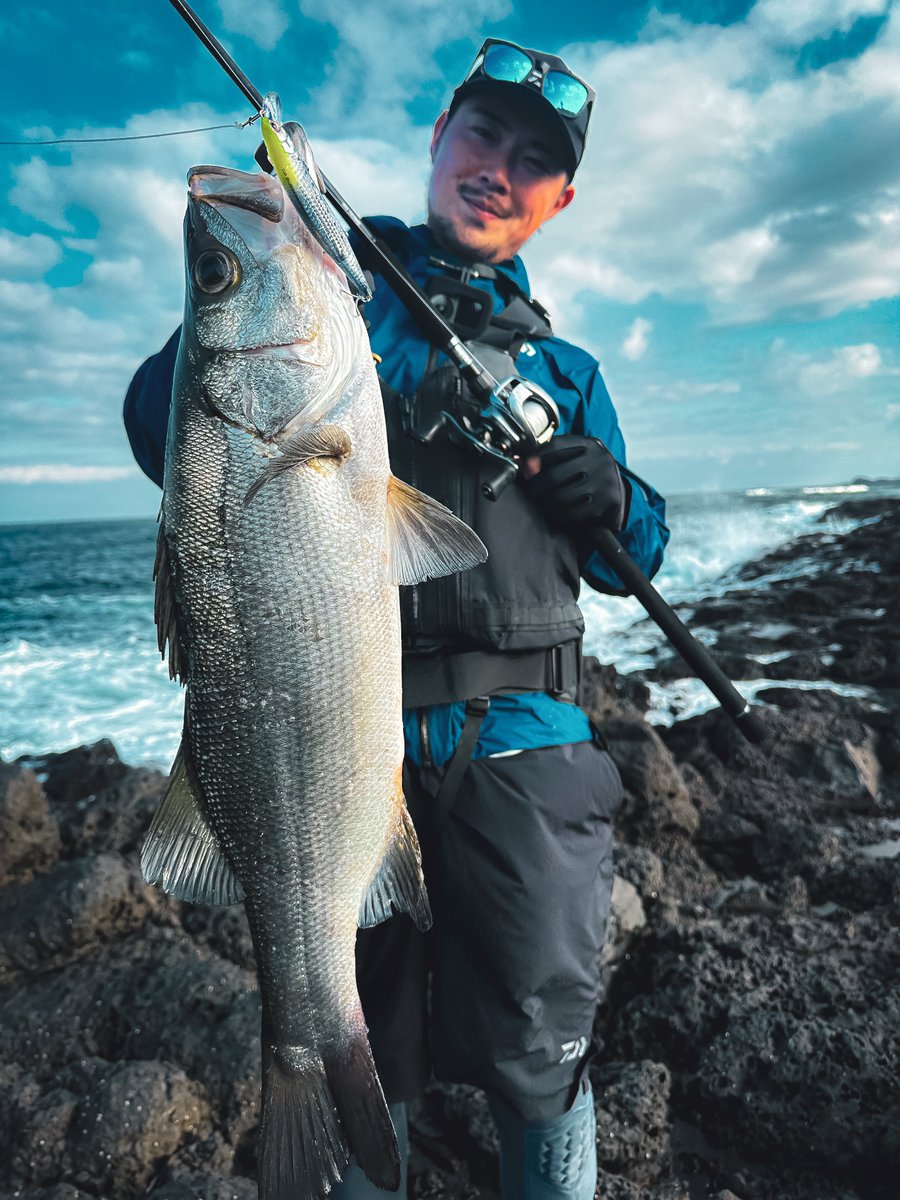 daiwa