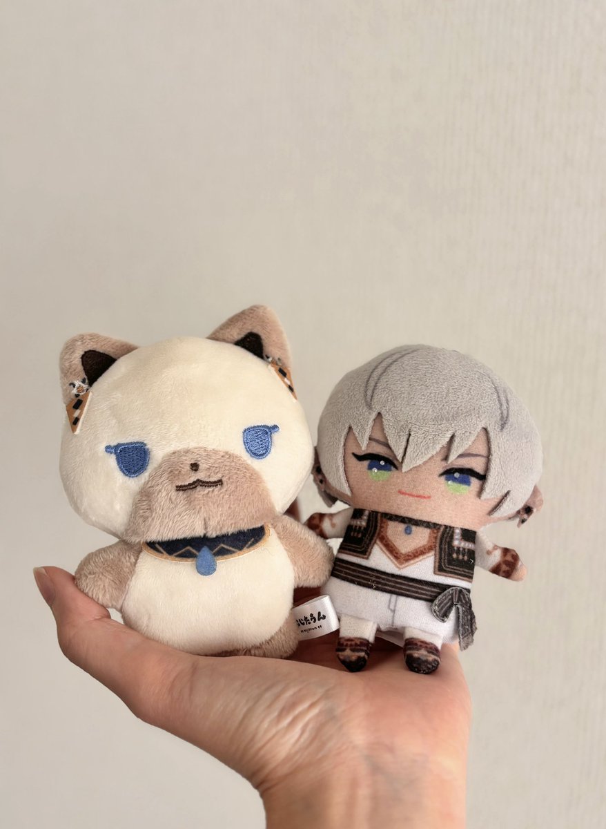ぴーちゃんぴ 🩵🩶🤍🐈💧⑅∙˚⋆