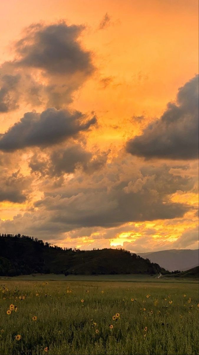 aestheticspost_'s tweet photo. Orange sky. https://t.co/X5jnlTLwzS