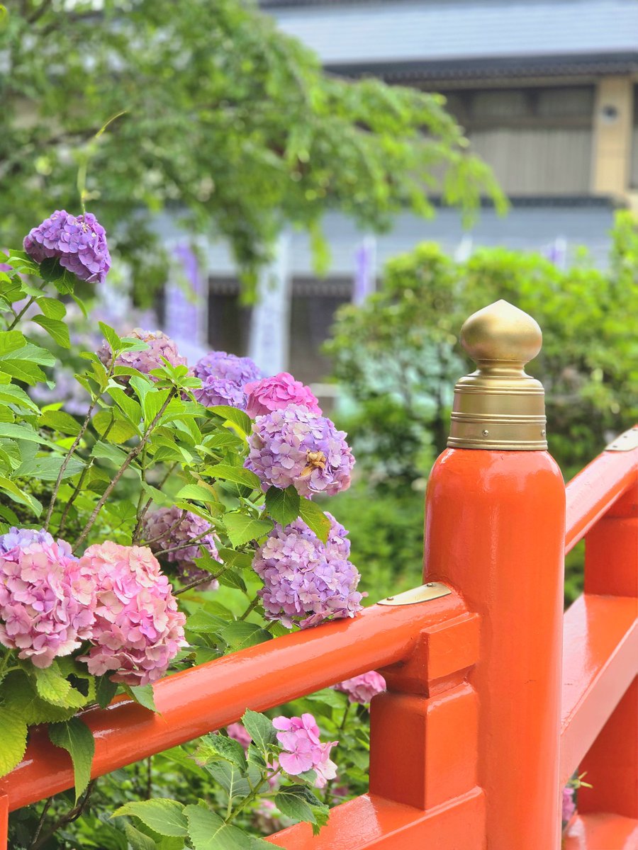 caradendo's tweet photo. ここに来ると大体晴れてるか、向かうまで雨降ってても着くと止むので不思議だなぁと毎回思います🤔
虹の日に虹も見れたので良かった🌈

ただ今日は駅でクリームサンド買えなかったので次こそは…╭( ๐_๐)╮ https://t.co/KrW9XJzh1W