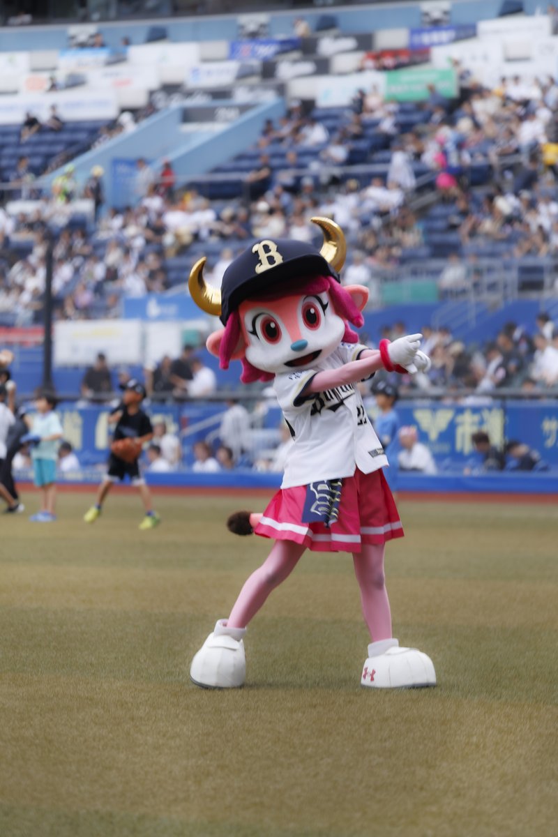 koarasuke's tweet photo. #バファローベル https://t.co/YNuzBL68Gs