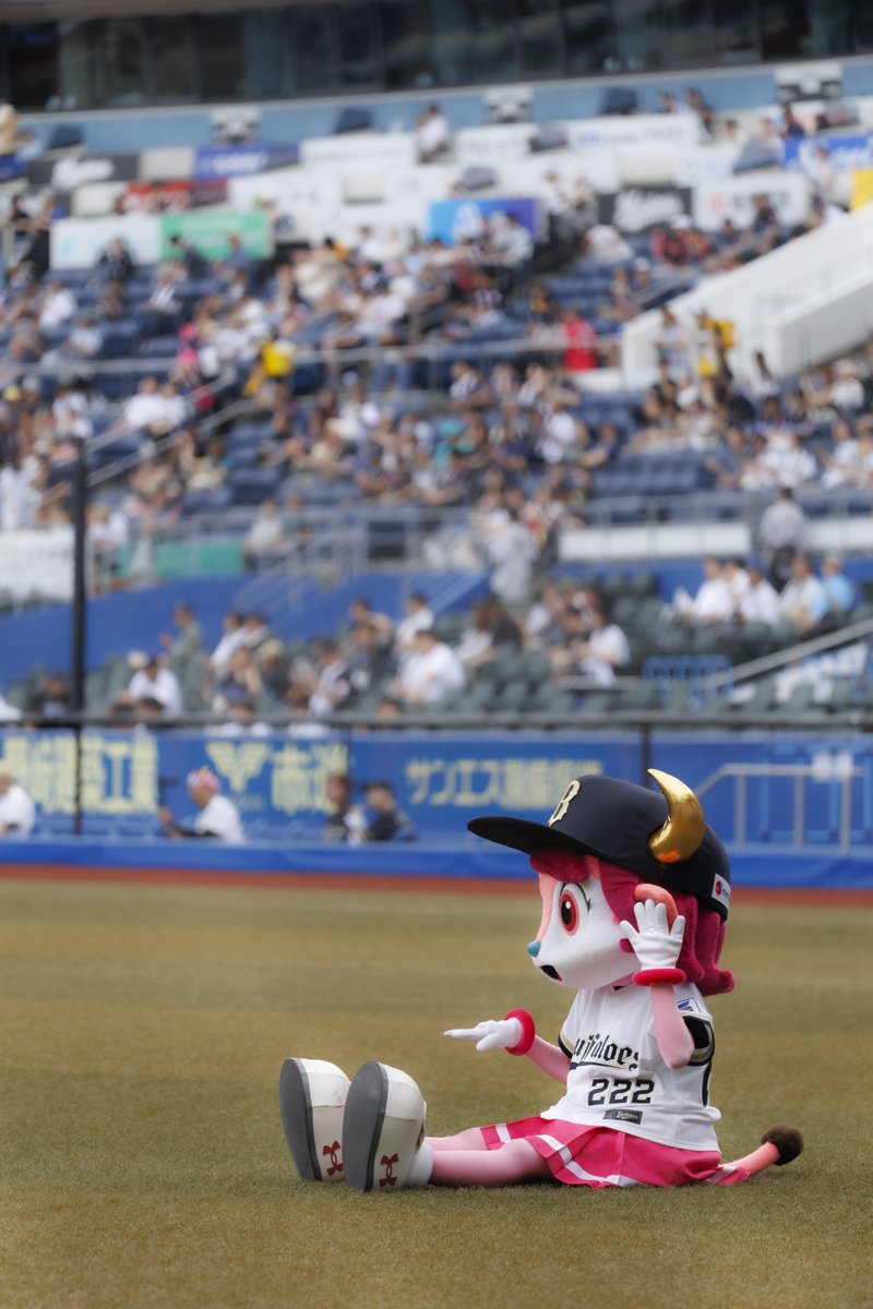koarasuke's tweet photo. #バファローベル https://t.co/hgl55BLIrz