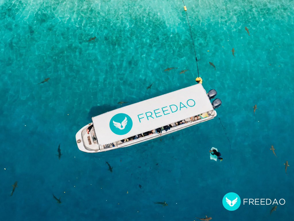 freedaolife's tweet photo. @NiklasCryptoX GM https://t.co/nGjr9mM2xc