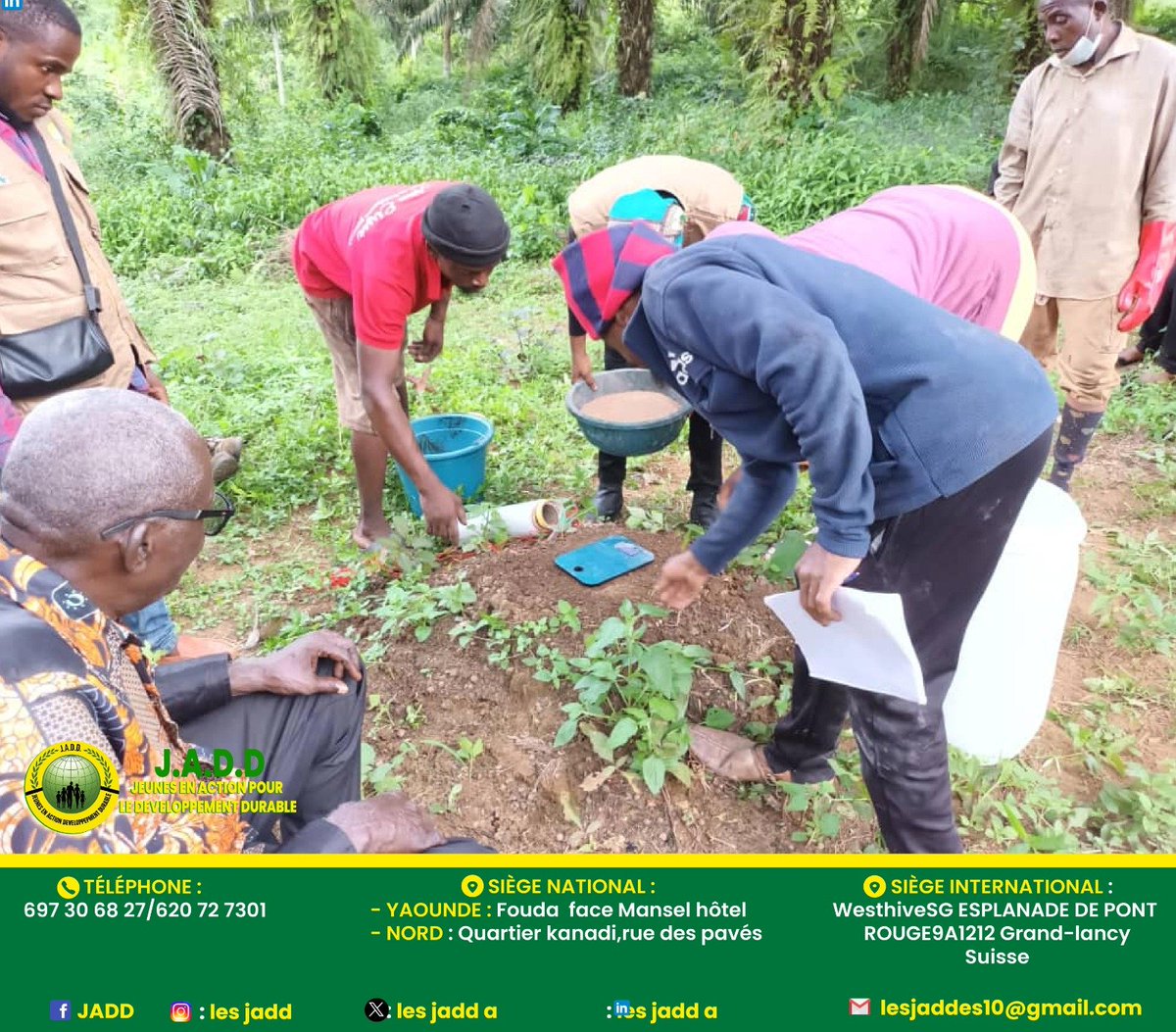 lesjadd's tweet photo. 🌿 À SEPPE (Édéa), 28 agriculteurs formés par JADD & @CAMEROONEcology aux #biofertilisants et #biopesticides 🌱
🧪 20L d’engrais liquide, 15L de biopesticides, 25kg de micro-organismes efficaces — produits localement !
Vers une #agriculture plus saine et résiliente.
#JADD https://t.co/XrrGyBPEwi